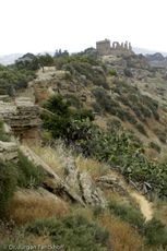 Sizilien (165 von 565).jpg